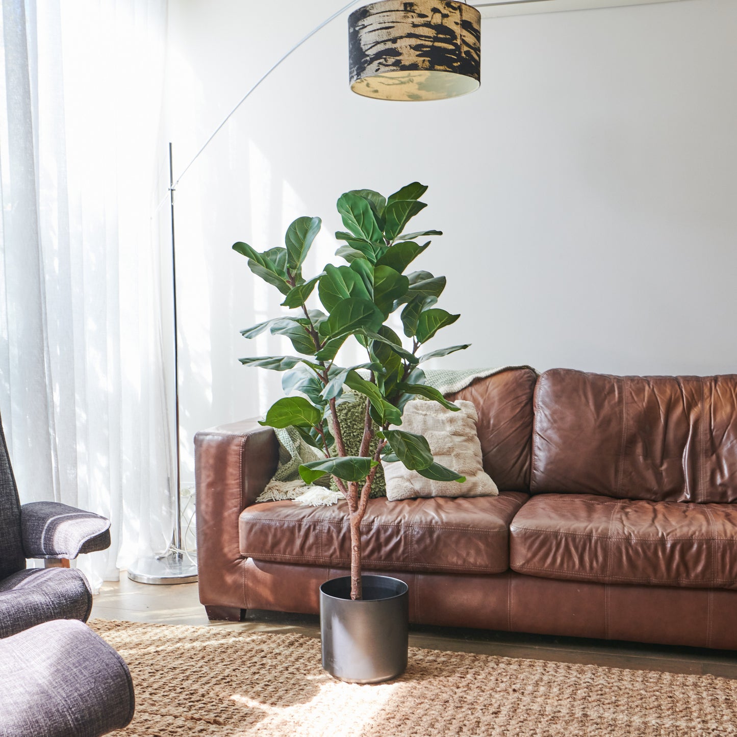 Easton Premium Fiddle Leaf Tree with Pot