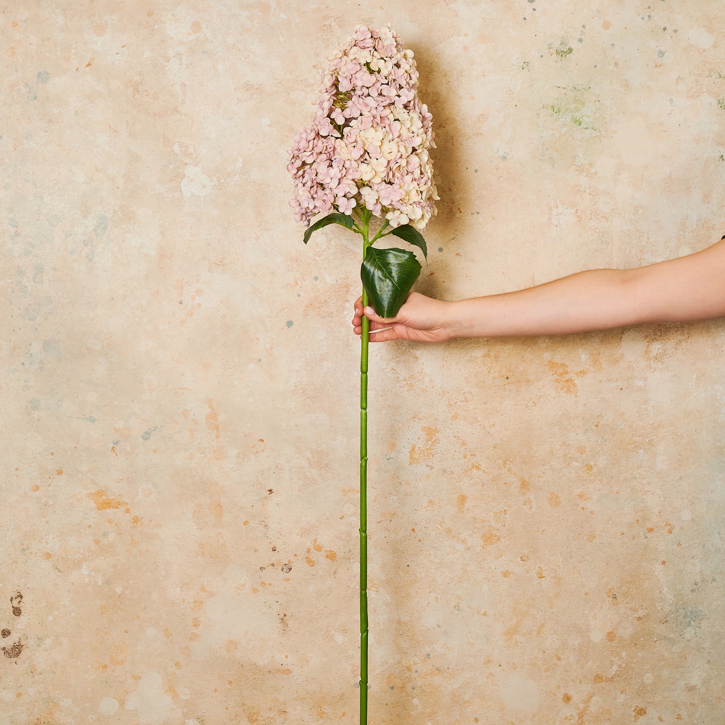 Cone Hydrangea Real Touch Flower Stem