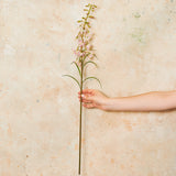 Delphinium Mini Real Touch Flower Stem