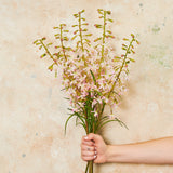 Delphinium Mini Real Touch Flower Stem