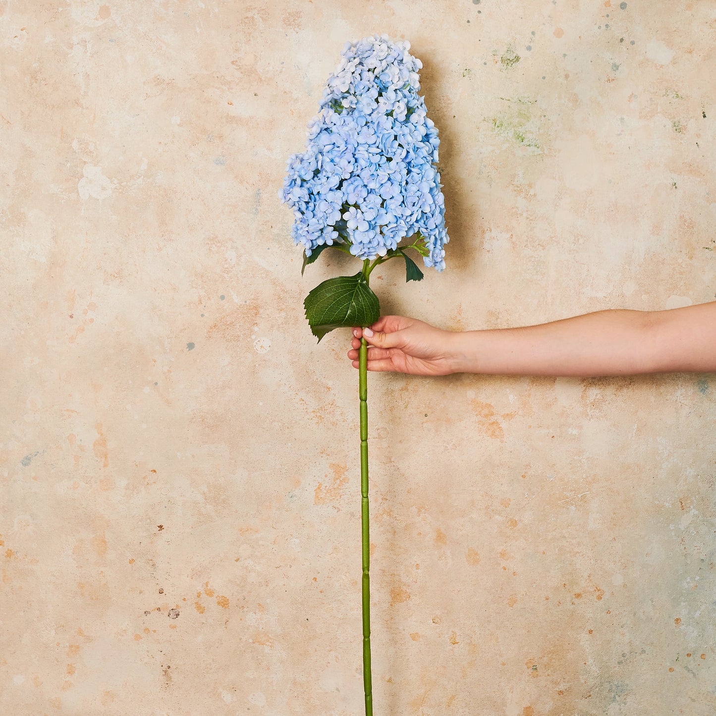 Cone Hydrangea Real Touch Flower Stem