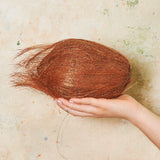 Coconut Artificial Fruit