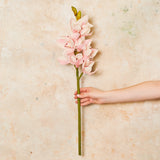 Cymbidium Orchid Real Touch Flower Stem