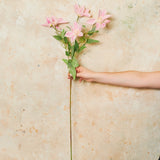 Clematis Real Touch Flower Stem