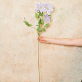 Clematis Real Touch Flower Stem