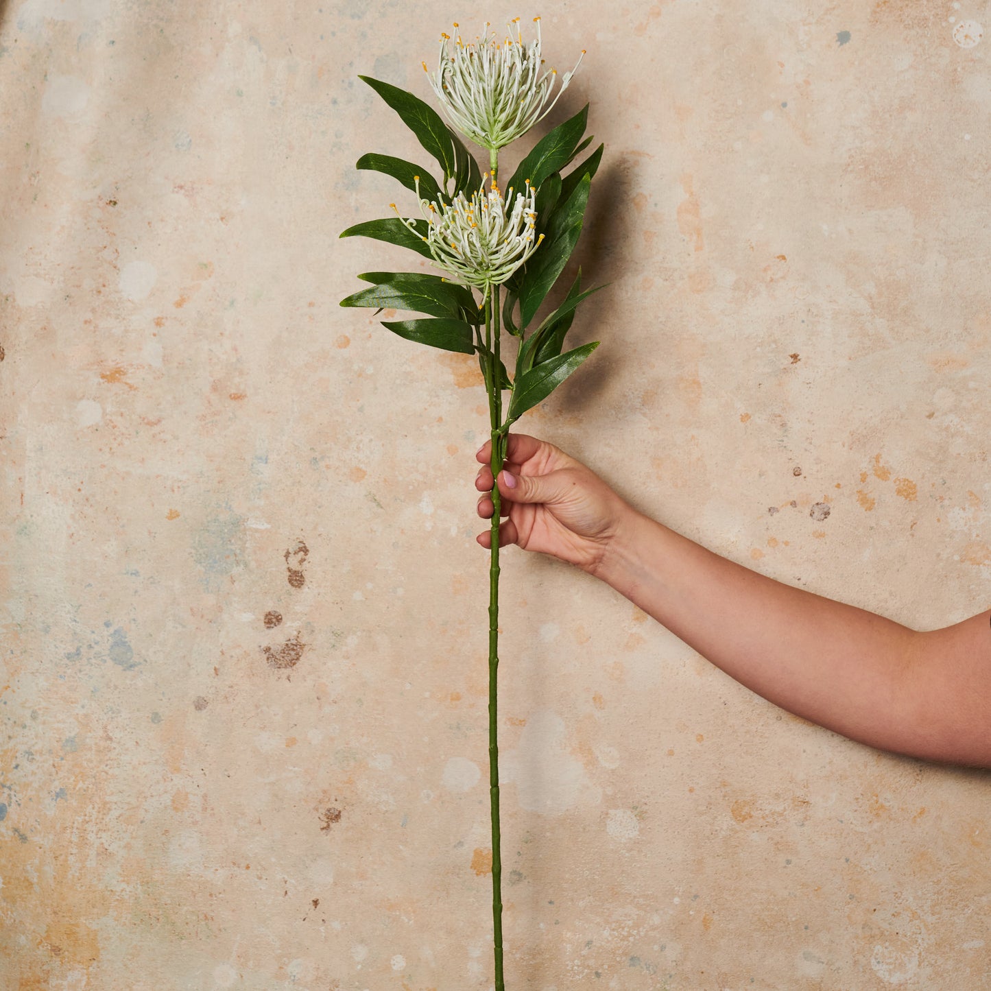 Grevillea Spray Real Touch Flower Stem