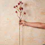Kangaroo Paw Real Touch Flower Stem