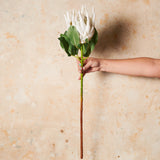 King Protea Real Touch Flower Stem