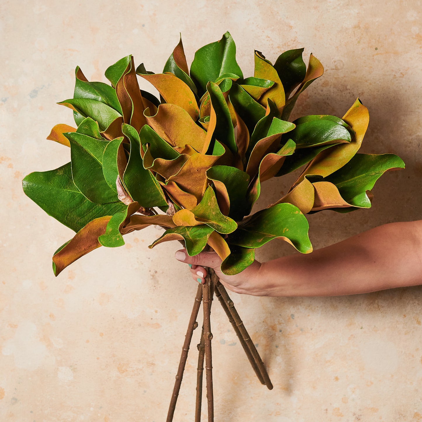 Magnolia Leaf Foliage Real Touch Leaf Stem