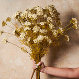 Queen Annes Lace Bush Real Touch Flower Stem