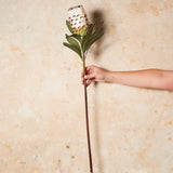 Queen Protea Real Touch Flower Stem