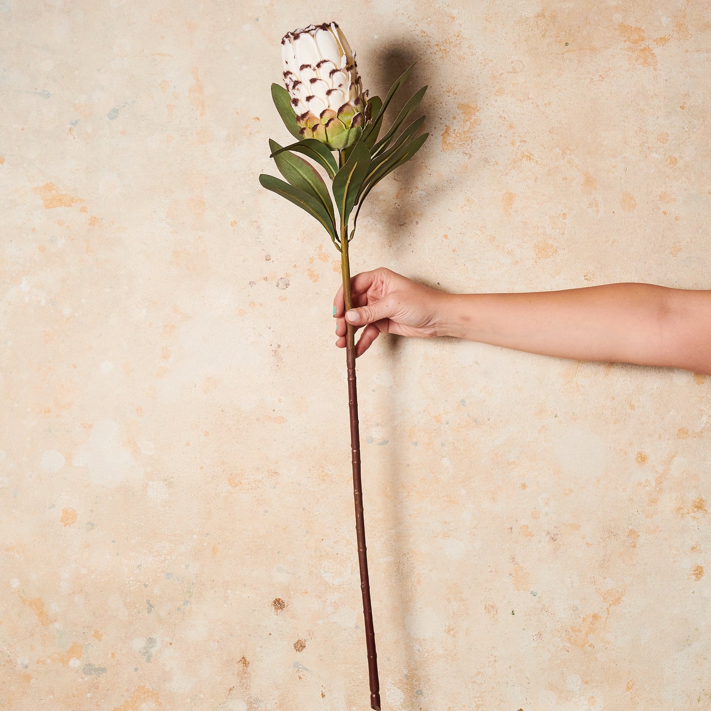 Queen Protea Real Touch Flower Stem