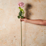 Rose Hannah Real Touch Flower Stem
