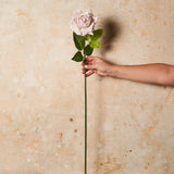 Rose Hannah Real Touch Flower Stem