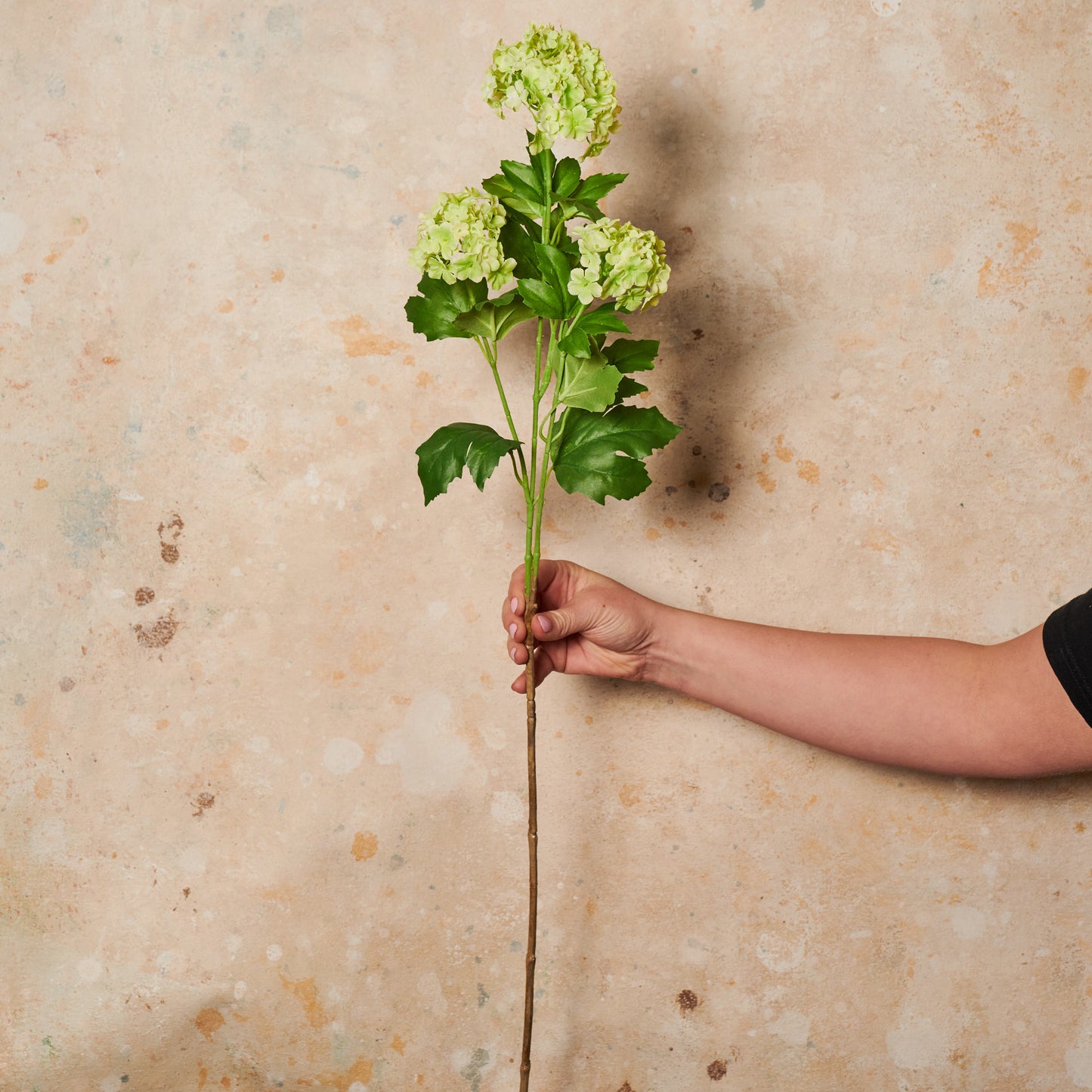 Snowball Spray Real Touch Flower Stem