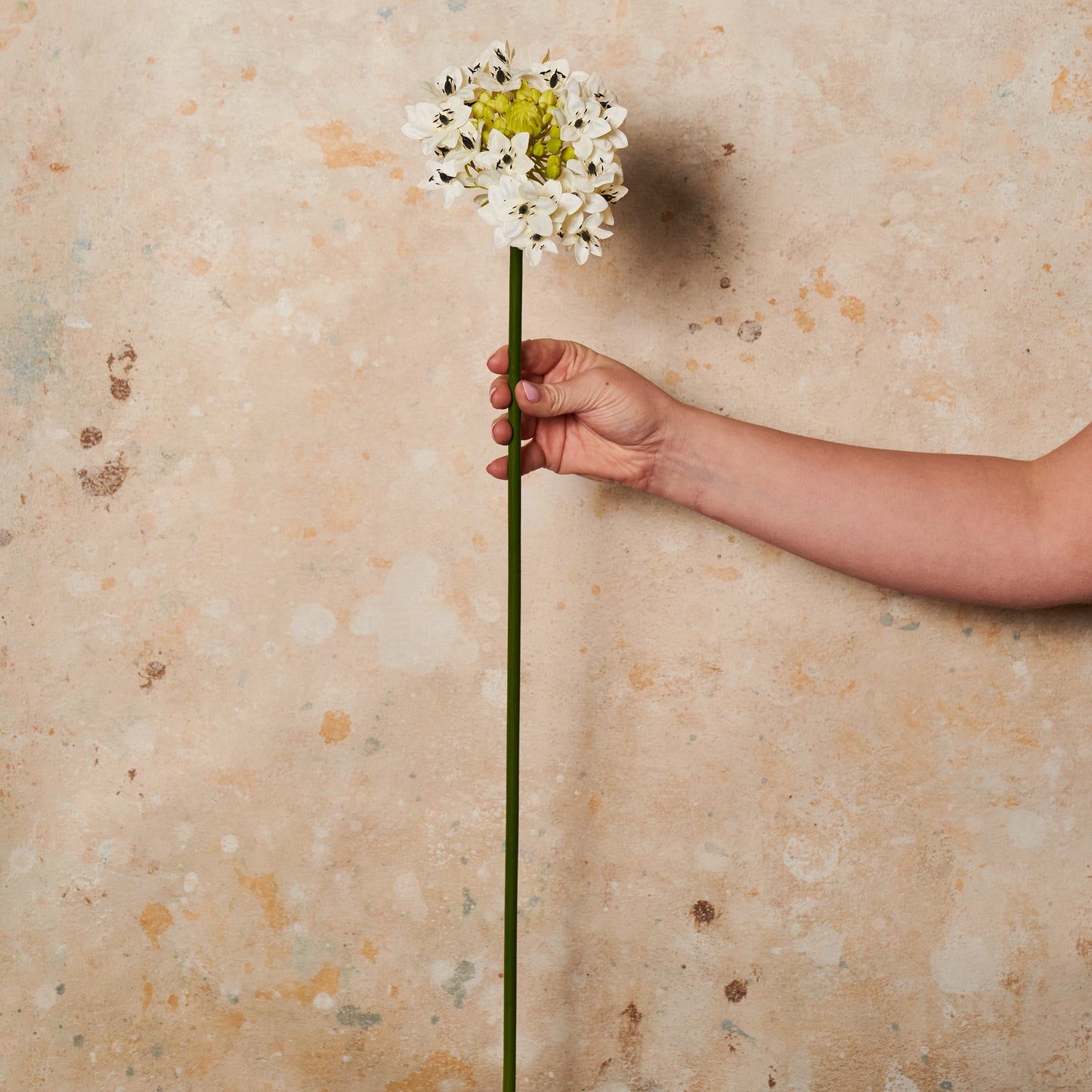 Star Flower Real Touch Flower Stem