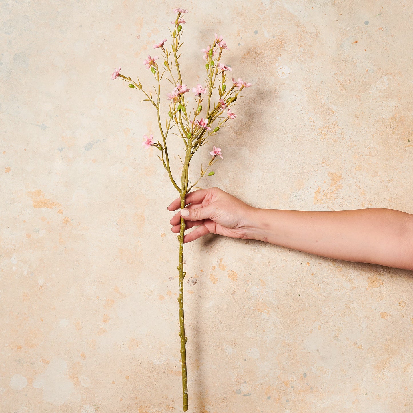 Wax Flower Real Touch Flower Stem