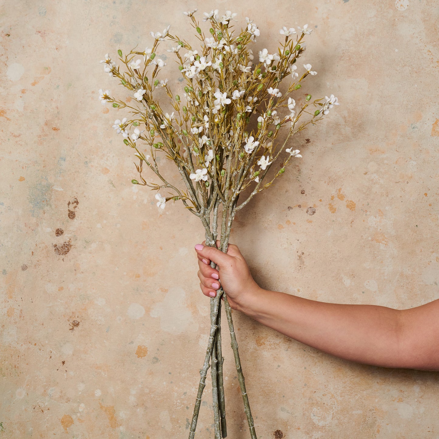 Wax Flower Real Touch Flower Stem