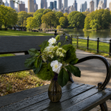 Central Park