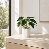 MYGIFT REAL TOUCH PLANT