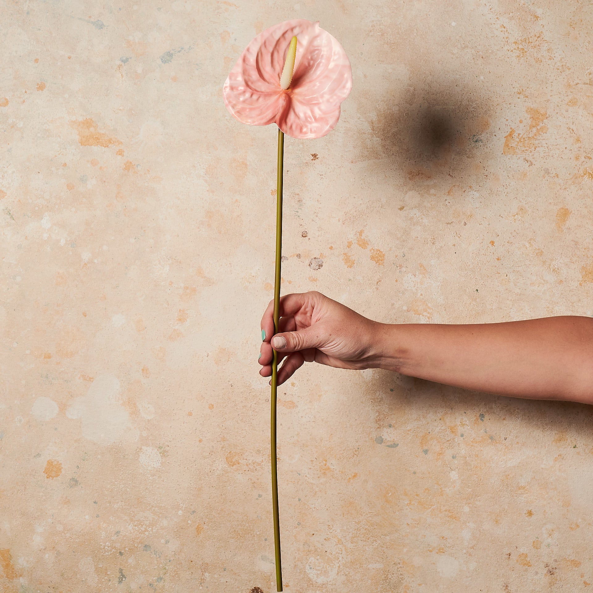artificial anthurium Artificial Anthurium Real Touch Flower Stem