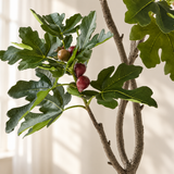 Fig Real Touch Artificial Tree