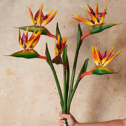 Bird Of Paradise Real Touch