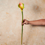 Calla Lily Real Touch Flower Stem