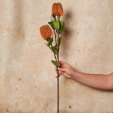 Cameron Banksia Real Touch Flower Stem