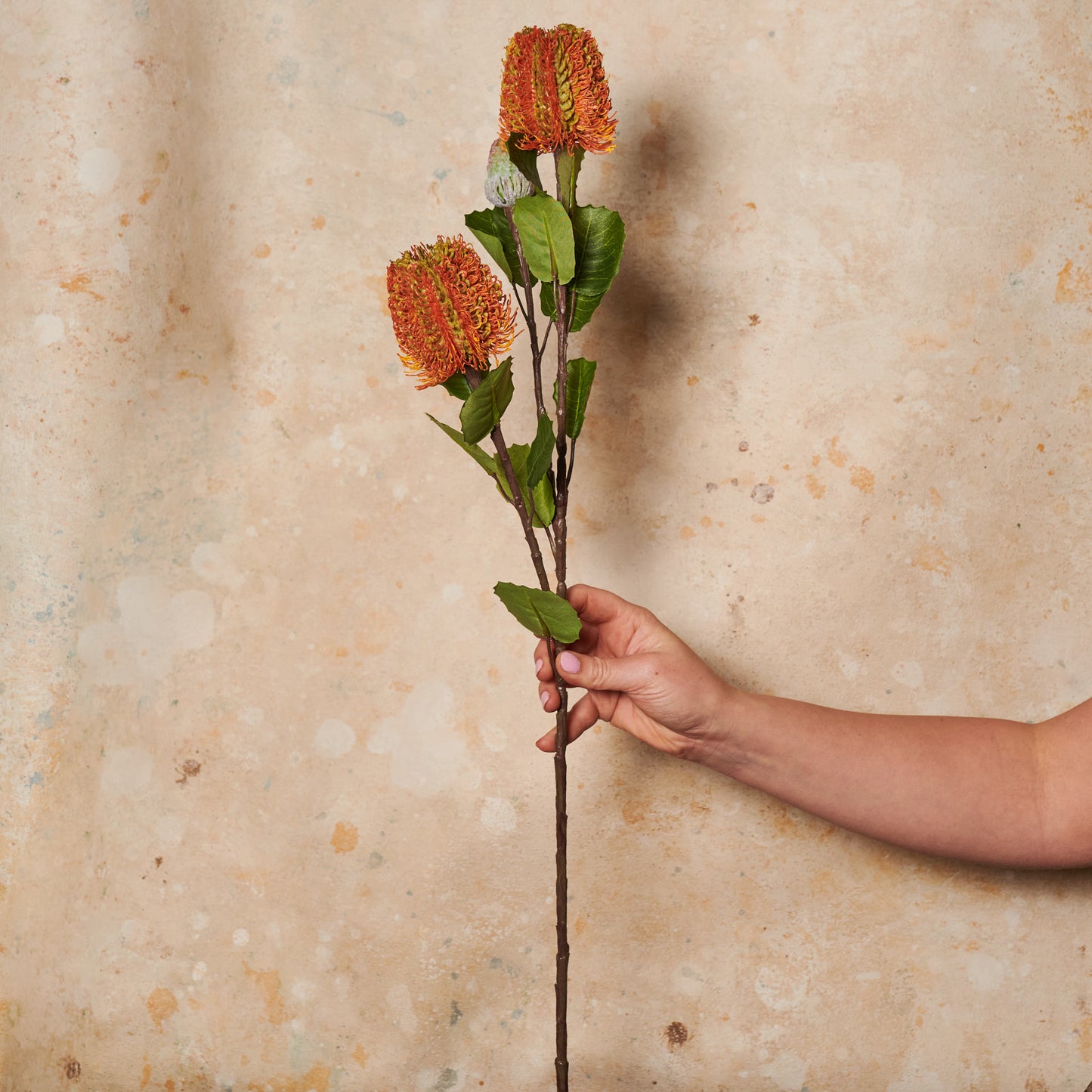 Cameron Banksia Real Touch Flower Stem