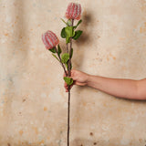 Cameron Banksia Real Touch Flower Stem
