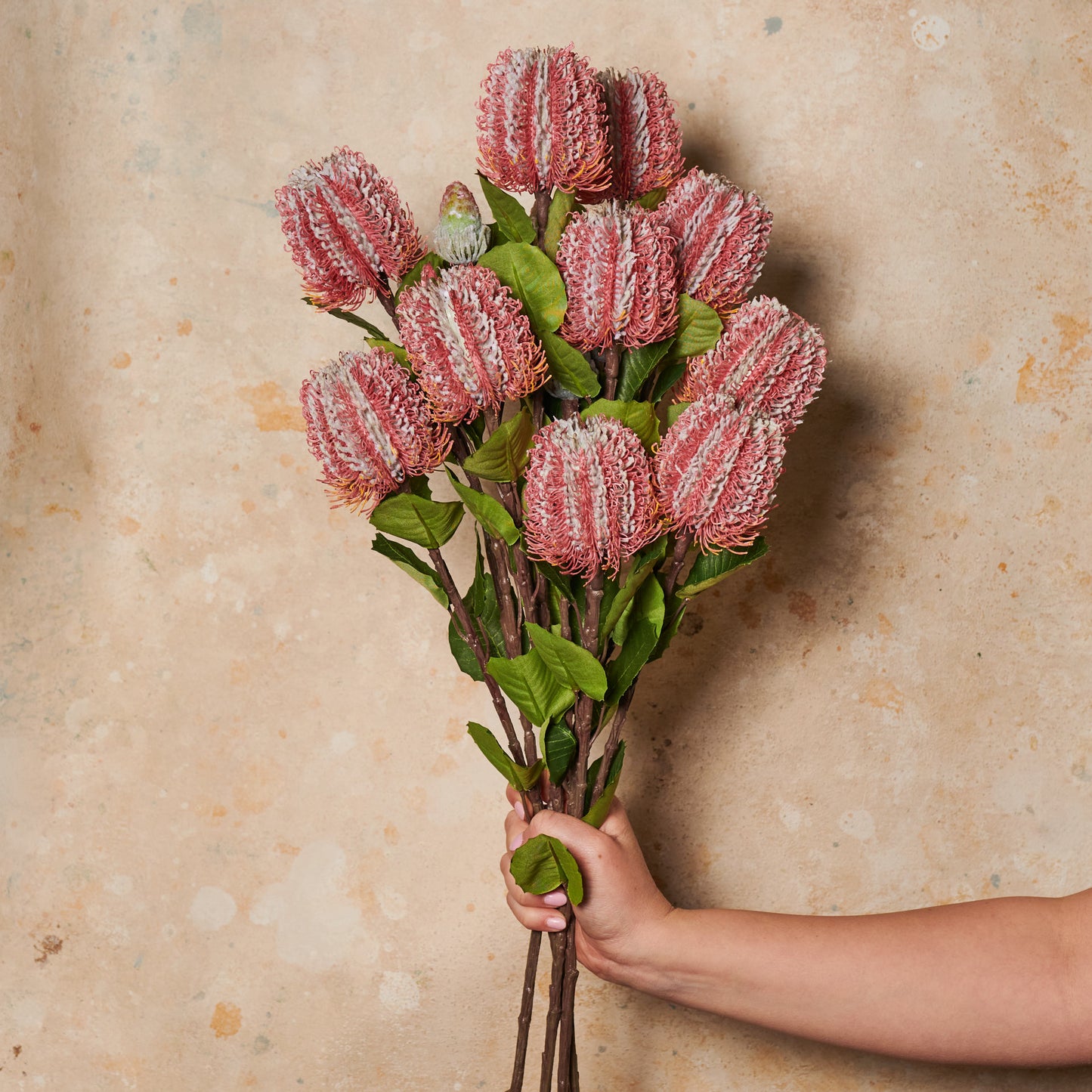 Cameron Banksia Real Touch Flower Stem