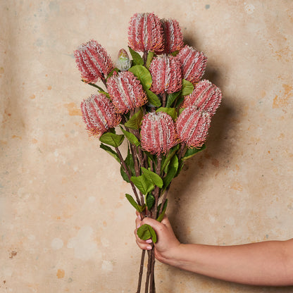 Cameron Banksia Real Touch Flower Stem