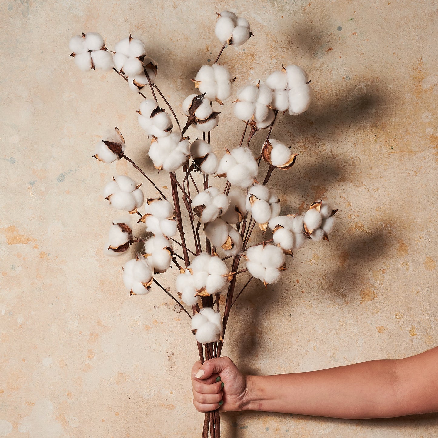Cotton Real Touch
