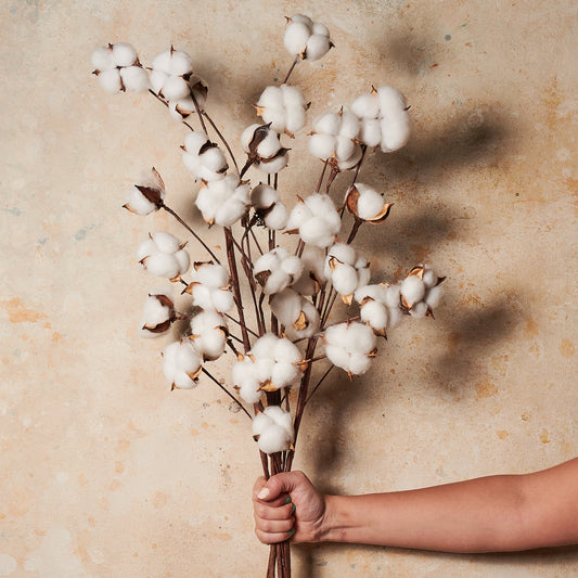 Cotton Real Touch