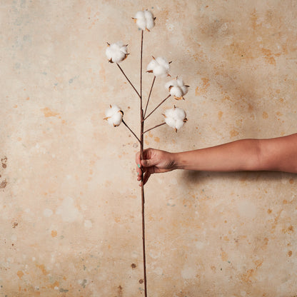 Cotton Real Touch