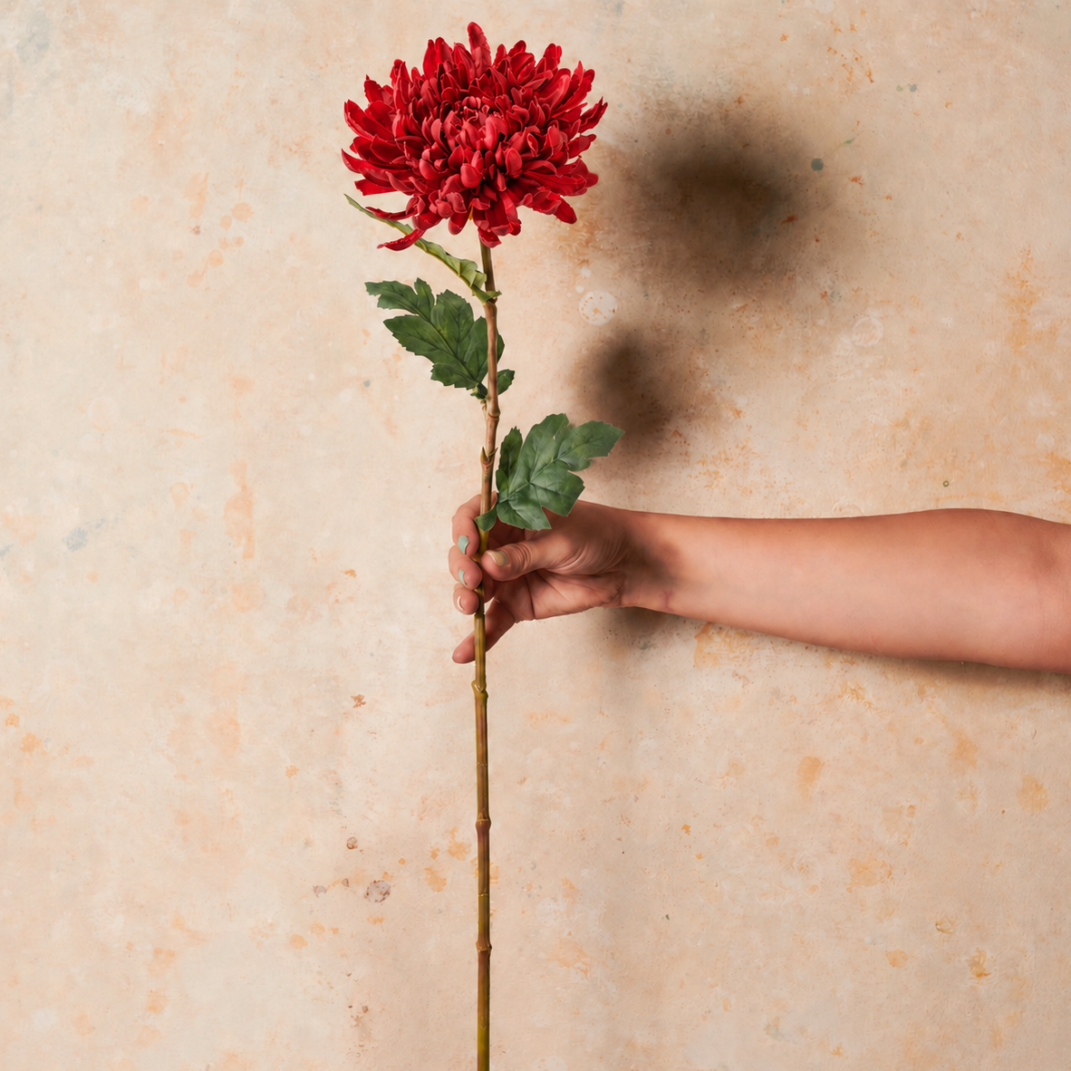 Chrysanthemum Real Touch Flower Stem