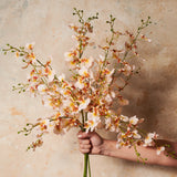 Dancing Orchid Real Touch
