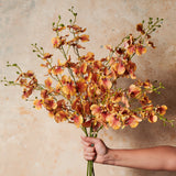 Dancing Orchid Real Touch