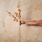 Dancing Orchid Real Touch