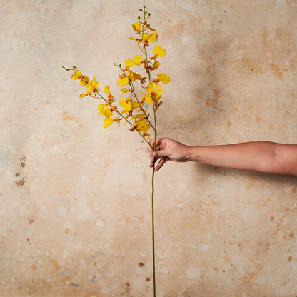 Dancing Orchid Real Touch