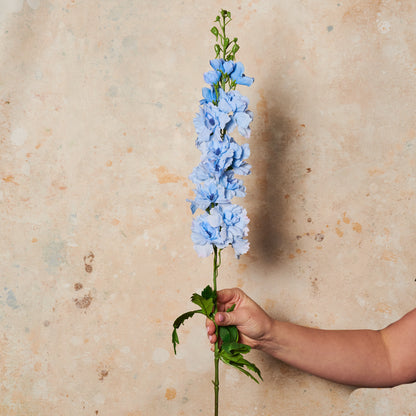 Delphinium Real Touch Flower Stem