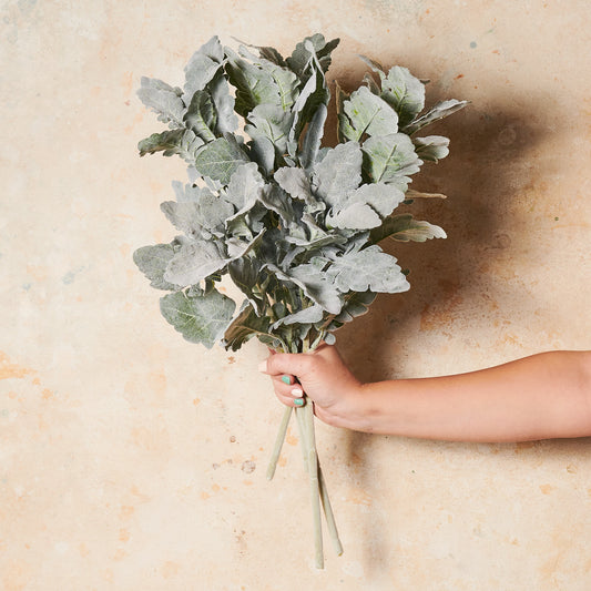 Dusty Miller Grey Real Touch Stem