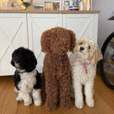 Peanut UV Resistant Topiary Dog