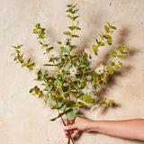 Eucalyptus Blossom Real Touch Flower Stem