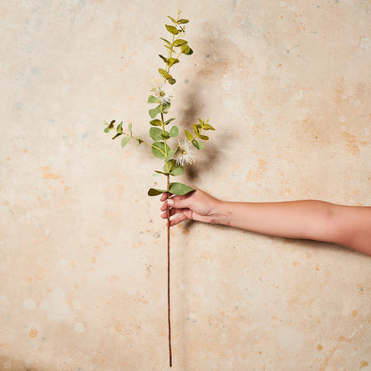 Eucalyptus Blossom Real Touch Flower Stem
