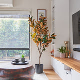 Brielle Magnolia Tree