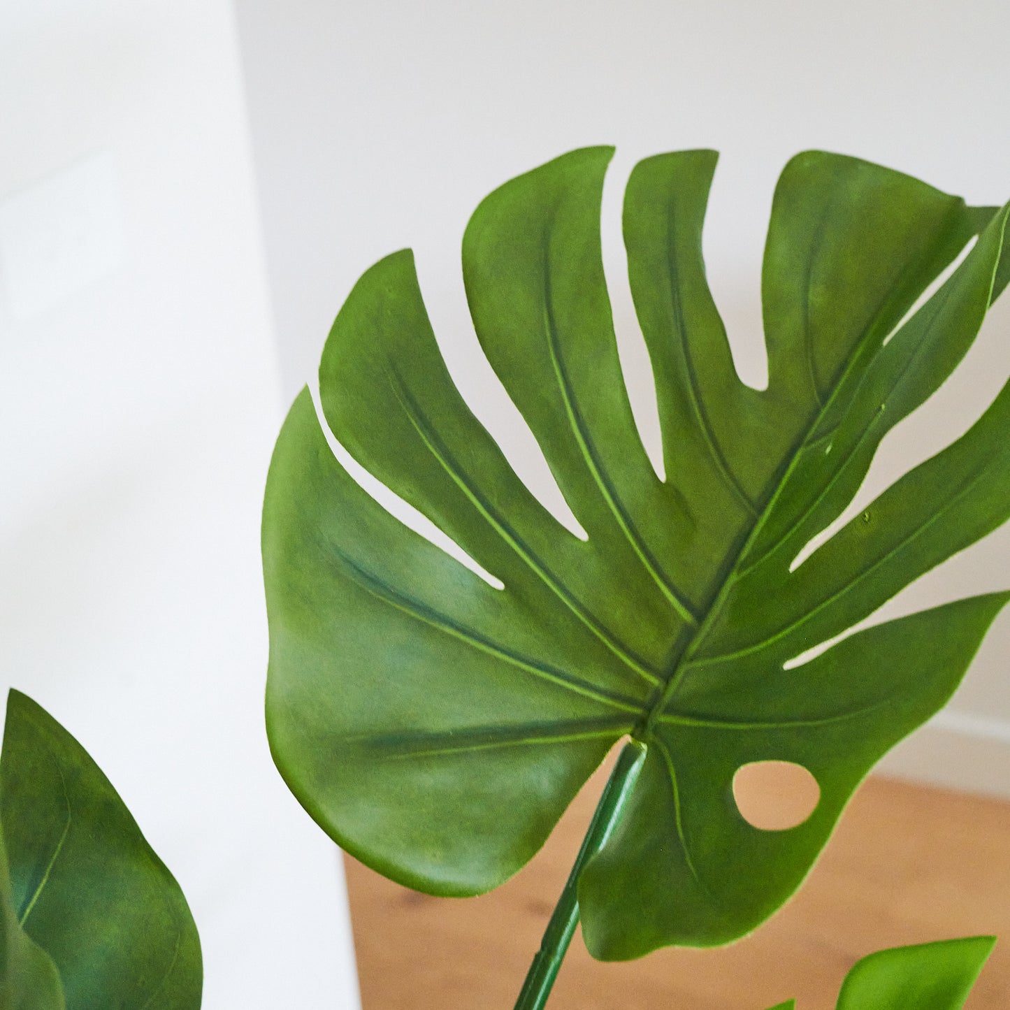 Jasper Premium Monstera Vine Tree
