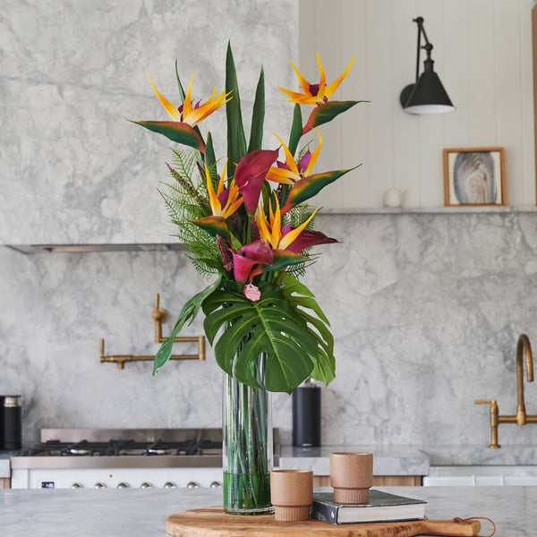 monstera plant arrangement Kate
