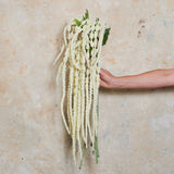 Amaranthus Real Touch Flower Stem